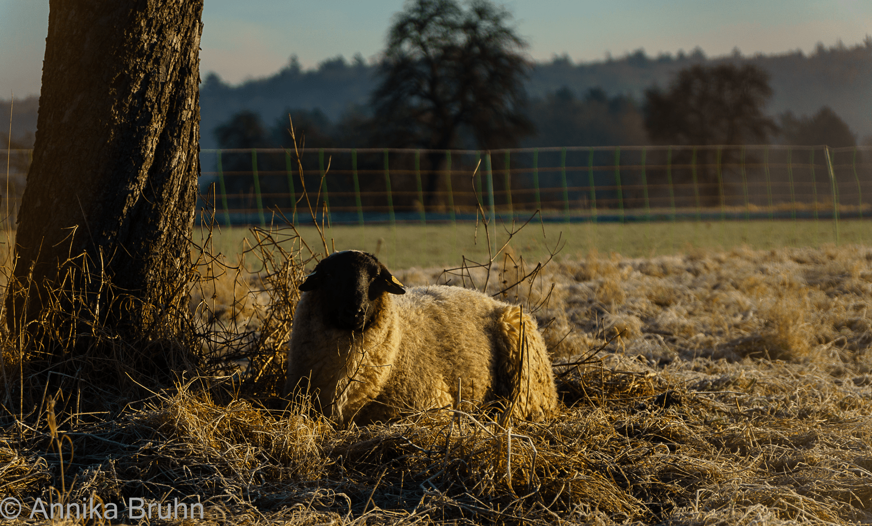 Abendsonne genießen